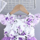 3-24M Baby Girls Flying Sleeve Flower Print Bow Mesh Dresses  Baby Clothes   