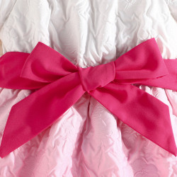 6M-3Y Baby Girls Gradient Jacquard Dresses With Hats  Baby Clothing   