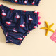 3-24M Baby Girls Flamingo Two Piece Swimsuit  Baby Boutique Clothing   