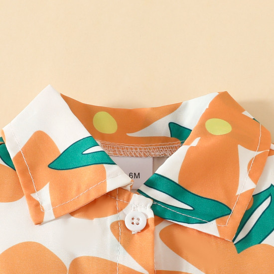 3-24M Baby Boys Floral Lapel Single Breasted Shirts And Shorts  Baby Clothing   