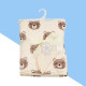 Baby Cartoon Double Plush Newborn Blanket  Accessories Vendors   