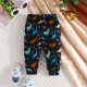 3-24M Baby Boys Dinosaur Print Three-Piece Pants Set  Baby Boutique Clothing   