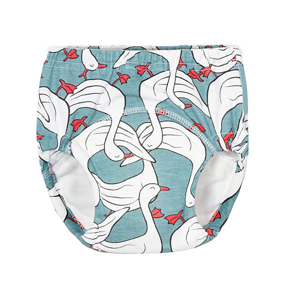 Dinosaur Animal Print  Baby Training Panties   
