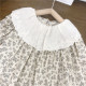 18M-7Y Toddler Girls Floral Lace Doll Collar Dresses  Girls Clothes   