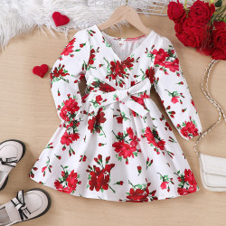 18M-6Y Toddler Girls Long Sleeve Printed V-Neck Dresses  Girls Clothes   