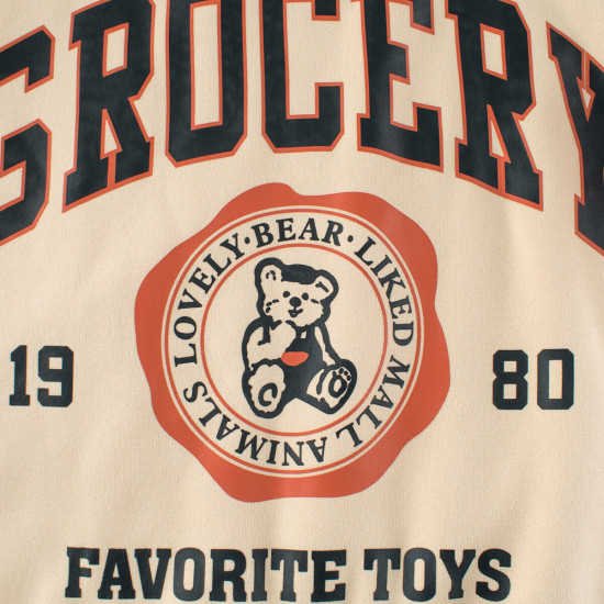 5-11Y Unisex Lion Letter Fleece Sweatshirts  Kids Boutique Clothing   