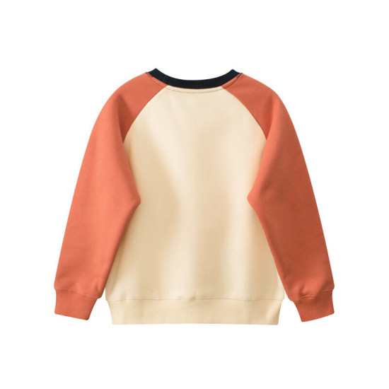 5-11Y Unisex Lion Letter Fleece Sweatshirts  Kids Boutique Clothing   