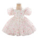 12M-3Y Toddler Girls Floral Puff Sleeves Princess Dresses  Girls Clothes   