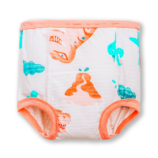 9M-5Y Animal Print Underwear Brief  Kids Boutique Clothing  