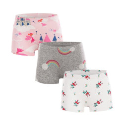3 Pack Little Big Girl Cartoon Print Briefs  