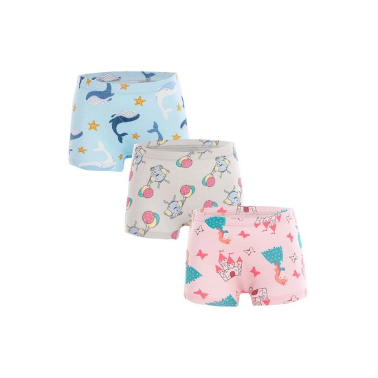 3 Pack Little Big Girl Cartoon Print Briefs  