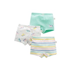 3 Pack Little Girl Panties  