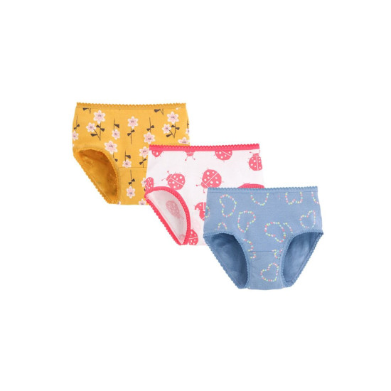 3 Pack Little Girl Print Underwear  
