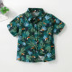 18M-7Y Toddler Boys Casual Top Lapel Beach Shirts  Boys Clothing   