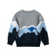 18M-7Y Toddler Boys Contrast Knitted Sweater  Boys Clothing   