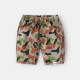 2-7Y Toddler Boys Personalized Camo Casual Shorts  Boys Clothing   
