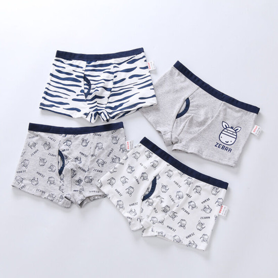 4-Pack 2-10Y Toddler Boys Dinosaur Cartoon Underpants  Boy Clothing   