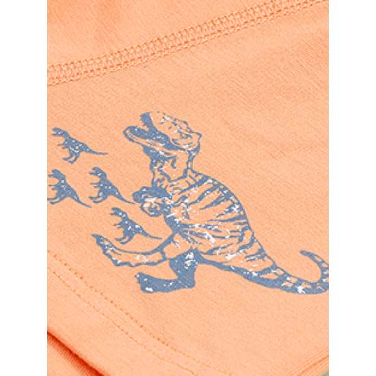 4-Pack Boy Cartoon Printed Boxer Briefs  