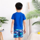 4-8Y Shark Animal Letter Print Colorblock Tops And Shorts Set Swimwear  Kids Boutique Clothing  