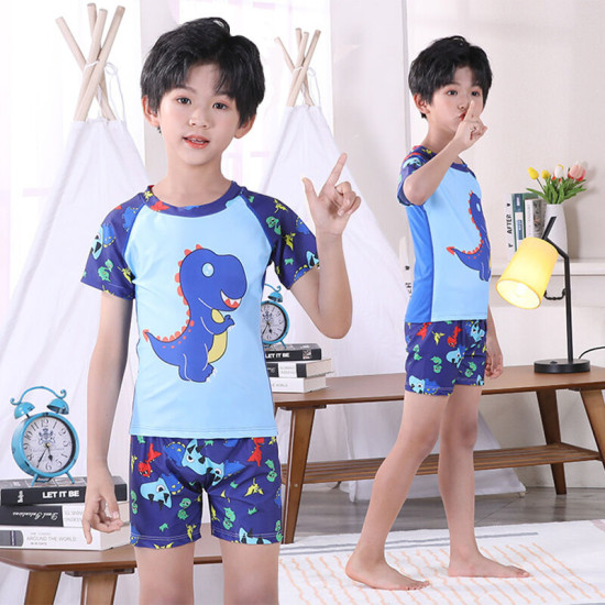 3-11Y Dinosaur Cartoon Print Colorblock Tops And Shorts Set Swimwear  Kids Boutique Clothing  