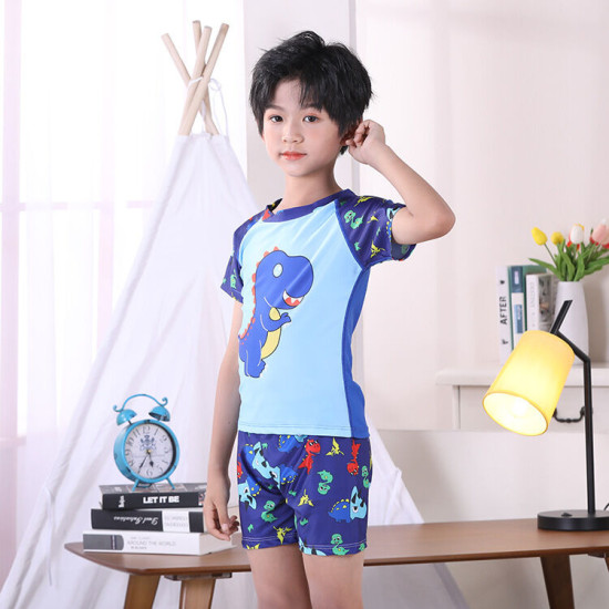 3-11Y Dinosaur Cartoon Print Colorblock Tops And Shorts Set Swimwear  Kids Boutique Clothing  
