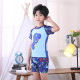 3-11Y Dinosaur Cartoon Print Colorblock Tops And Shorts Set Swimwear  Kids Boutique Clothing  