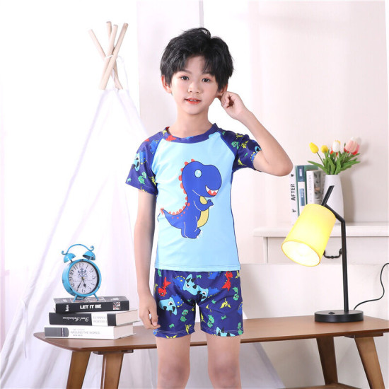 3-11Y Dinosaur Cartoon Print Colorblock Tops And Shorts Set Swimwear  Kids Boutique Clothing  