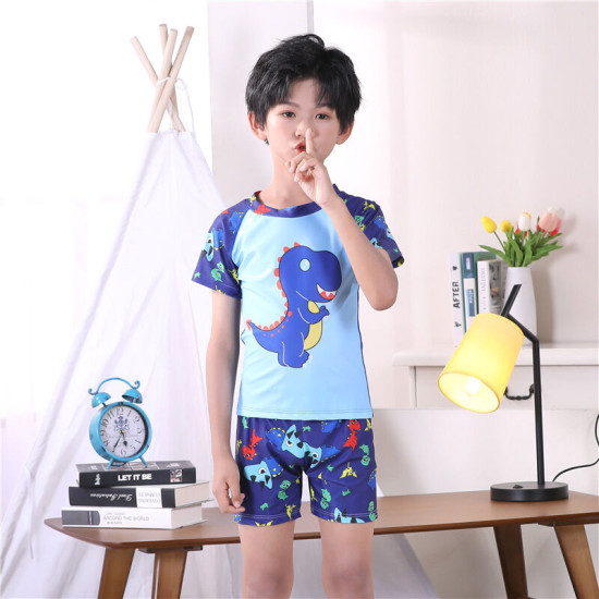 3-11Y Dinosaur Cartoon Print Colorblock Tops And Shorts Set Swimwear  Kids Boutique Clothing  