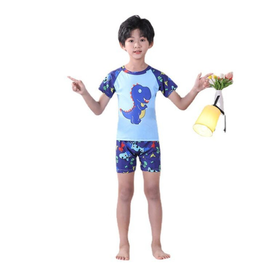 3-11Y Dinosaur Cartoon Print Colorblock Tops And Shorts Set Swimwear  Kids Boutique Clothing  