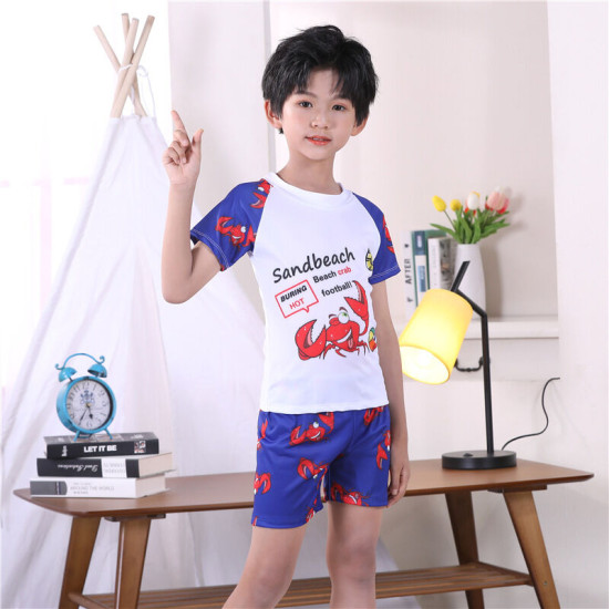 4-8Y Crab Cartoon Letter Print Colorblock Tops And Shorts Set Swimwear  Kids Boutique Clothing  