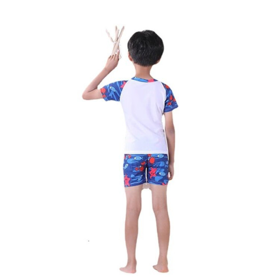 3-11Y Whale Animal Print Short Sleeve Tops And Shorts Set Swimsuit  Kids Boutique Clothing  