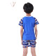 3-11Y Whale Cartoon Print Short Sleeve T-Shirt And Shorts Swimwear Set  Kids Boutique Clothing  