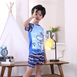 3-11Y Whale Cartoon Print Short Sleeve T-Shirt And Shorts Swimwear Set  Kids Boutique Clothing  